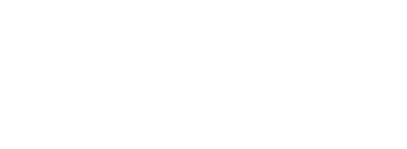 logo transelect_Tekengebied 1-05